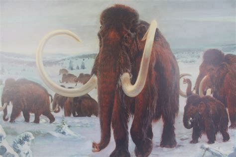 Woolly Mammoth Herd by Zdenek Burian Scheele Fine Arts - Etsy