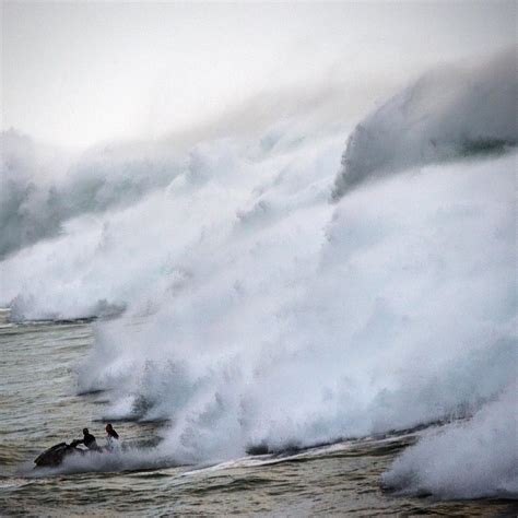 Gigantic waves hit Hawaii coast in strongest surf events in 50 years ...