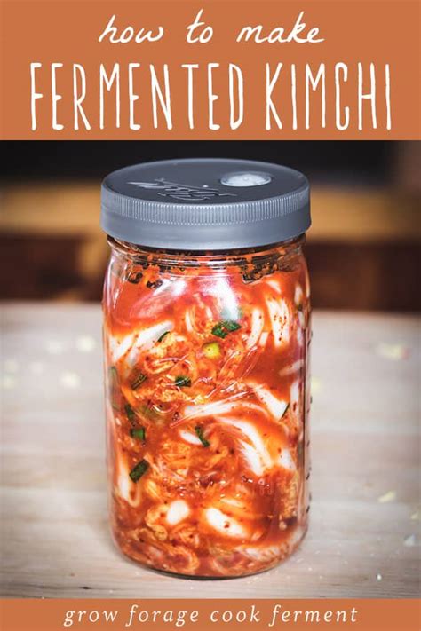 Fermenting Crock Recipes Kimchi | Dandk Organizer