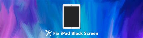 Why Is My iPad Screen Black and 6 Solutions to Fix This Problem