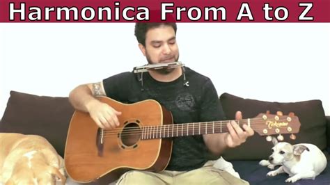 The Ultimate Harmonica Lesson - 20 Techniques & Exercises - How to Play ...