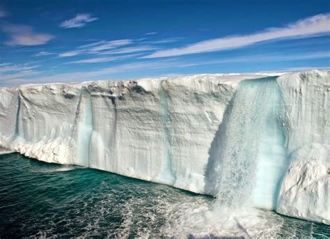 Ecosystems of the world: Polar Climate - Characteristics, Current Status and Threats