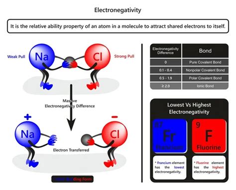 Electronegativity Vector Art Stock Images | Depositphotos