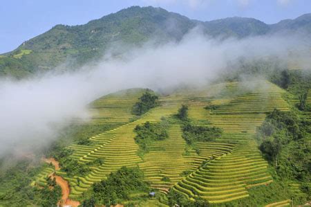 VIETNAM | Gia Lai District: Outlandishly Simple