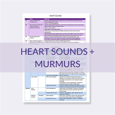 Heart Sounds Murmurs Cheat Sheet - Etsy