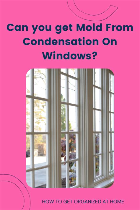 Can You Get Mold From Condensation On Windows?