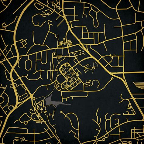 Wake Forest University Campus Map Art - City Prints