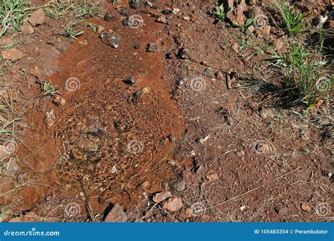 BURBLING WATER from an UNDERGROUND SOURCE Stock Photo - Image of loose, hike: 105483354