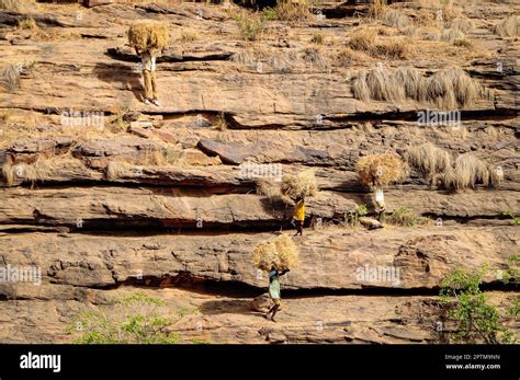 Nicolas Remene / Le Pictorium - Ende Bandiagara region Dogon Country ...