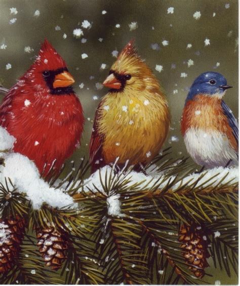 snow birds | Birds painting, Beautiful birds, Bird art