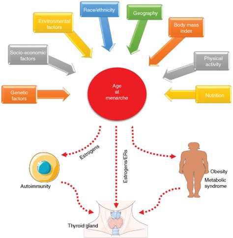 Early menarche is independently associated with subclinical hypothyroidism: a cross-sectional study