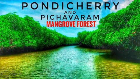 Pondicherry with Auroville and Pichavaram mangrove forest trip | Tamil ...