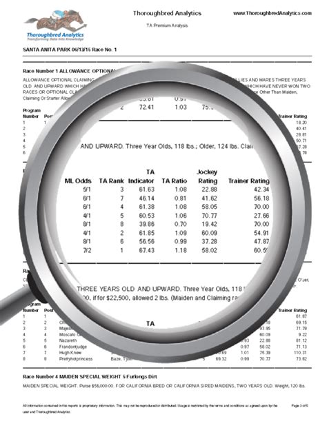 Zia Park Horse Racing Picks & Insider Analysis - Todays Racing Digest