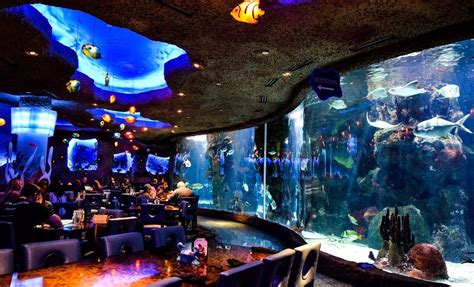 Aquarium- An Underwater Dining Adventure In Nashville ~ The Small ...