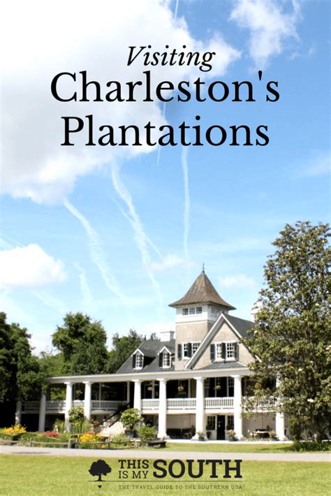 The Ultimate Guide to Visiting Charleston Plantations