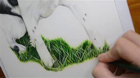 HOW TO DRAW GRASS USING COLOUR PENCIL - TIME LAPSE - YouTube