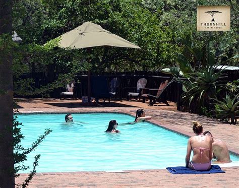 Thornhill Safari Lodge Pool: Pictures & Reviews - Tripadvisor