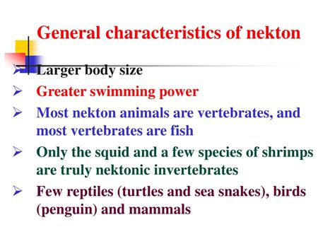 PPT - Oceanic Nekton PowerPoint Presentation, free download - ID:5079360