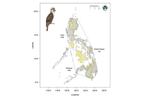 New map boosts Philippine eagle population estimate, but highlights threats