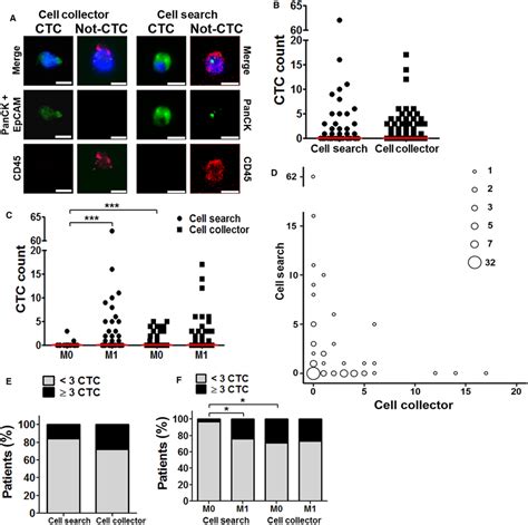 (A) Representative IF images of cells detected with CC and CS (1 CTC, 1 ...