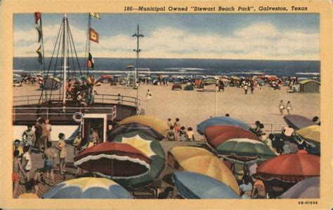 Municipal Owned Stewart Beach Park Galveston, TX Postcard