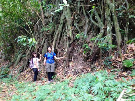 travelenravel: Mount Makiling: An Enchanting Hike To Peak 2