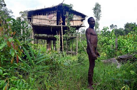 Stone Korowai Tribe | Cultural Trek | West Papua