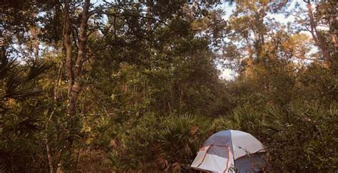 Discover the 24 best campgrounds near Orlando, Florida