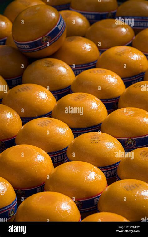 Edam, Netherlands - July 2019: Edam cheeses at the first cheese market ...