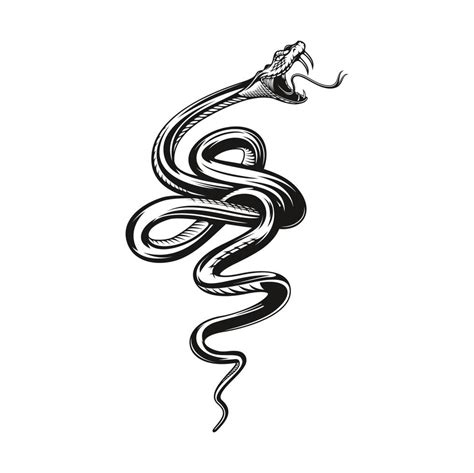 Snake tattoo, angry black viper 10876297 Vector Art at Vecteezy