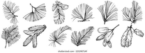 30,913 Needle Sketch Images, Stock Photos & Vectors | Shutterstock