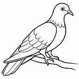 Premium Vector  Bird coloring Book Illustration 6 sketch template