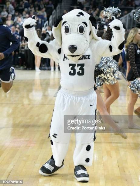 Providence Friars Mascot Photos and Premium High Res Pictures - Getty ...