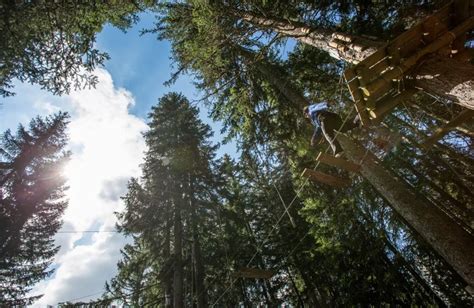 Treetop Adventure Park - Combloux Tourist Office