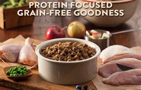 Top 20 Cheap Best Grain Free Dog Food Brands in 2018