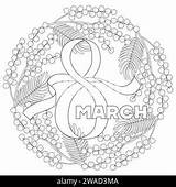 Mimosa Branch  coloring Page Isolated Doodle And Cartoon Floral sketch template