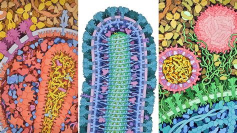 Meet the scientist painter who turns deadly viruses into beautiful works of art | Science | AAAS