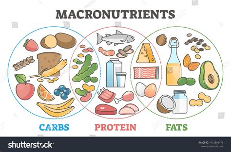 4,232 Macronutrients Images, Stock Photos, 3D objects, & Vectors | Shutterstock