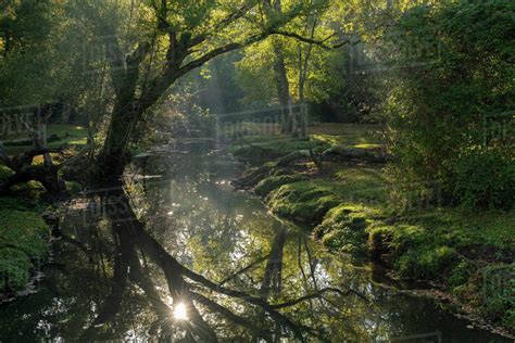 Early morning sunshine reflects in the Beaulieu River, New Forest National Park, Hampshire ...