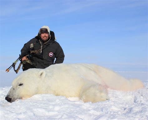 Canadian Arctic Polar Bear Hunt - Ameri-Cana Expeditions