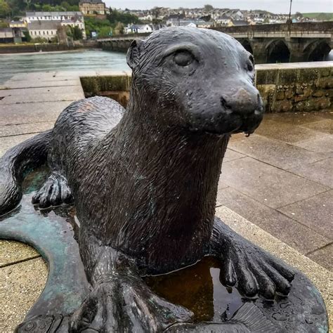 Tarka Otter Statue | Tourist attraction | Devon