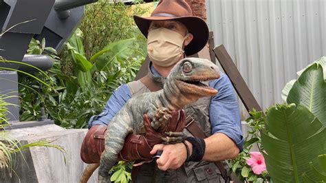 PHOTOS, VIDEO: Meet Blue and Baby Sierra at the New Jurassic World ...