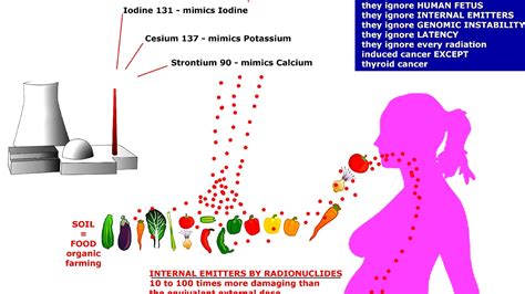 Effects of nuclear explosions on human health - Effect Choices