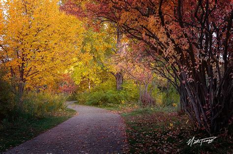 Capturing Fall Color in the Park—Photo Adventure – Love that Shot