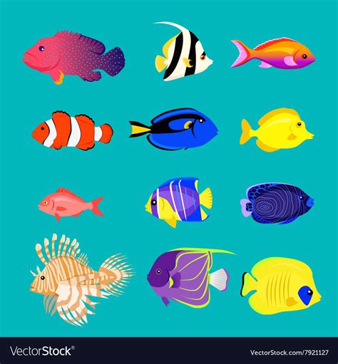 Set of sea fish color design flat Royalty Free Vector Image