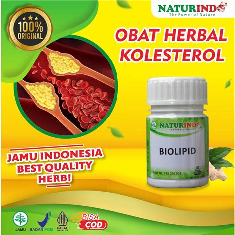 Jual Obat Kolesterol Kolestrol Tinggi Herbal Ampuh Obat Penurun Kolesterol Kolestrol Jahat ...