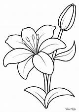 Lily Coloring Pages Free Printable PDFs  WakeTheKids sketch template