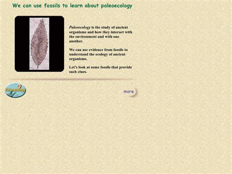 Ucmp: Paleoecology PPT for 3rd - 8th Grade | Lesson Planet