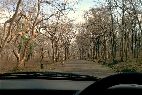 Sathyamangalam Wildlife Sanctuary, India Photos