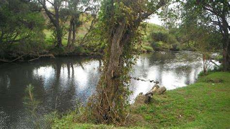 Darlington Park near Beaudesert - The Grey Nomads Forum